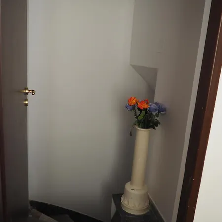 Homestay Center Walk *